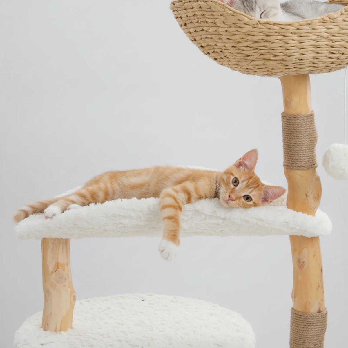Arbre à Chat Design 3 Niveaux pour Chat et Chaton 3