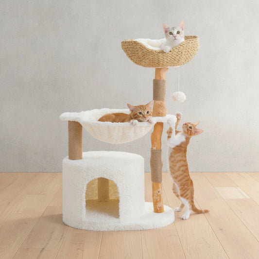 Arbre à Chat Design Bois & Osier