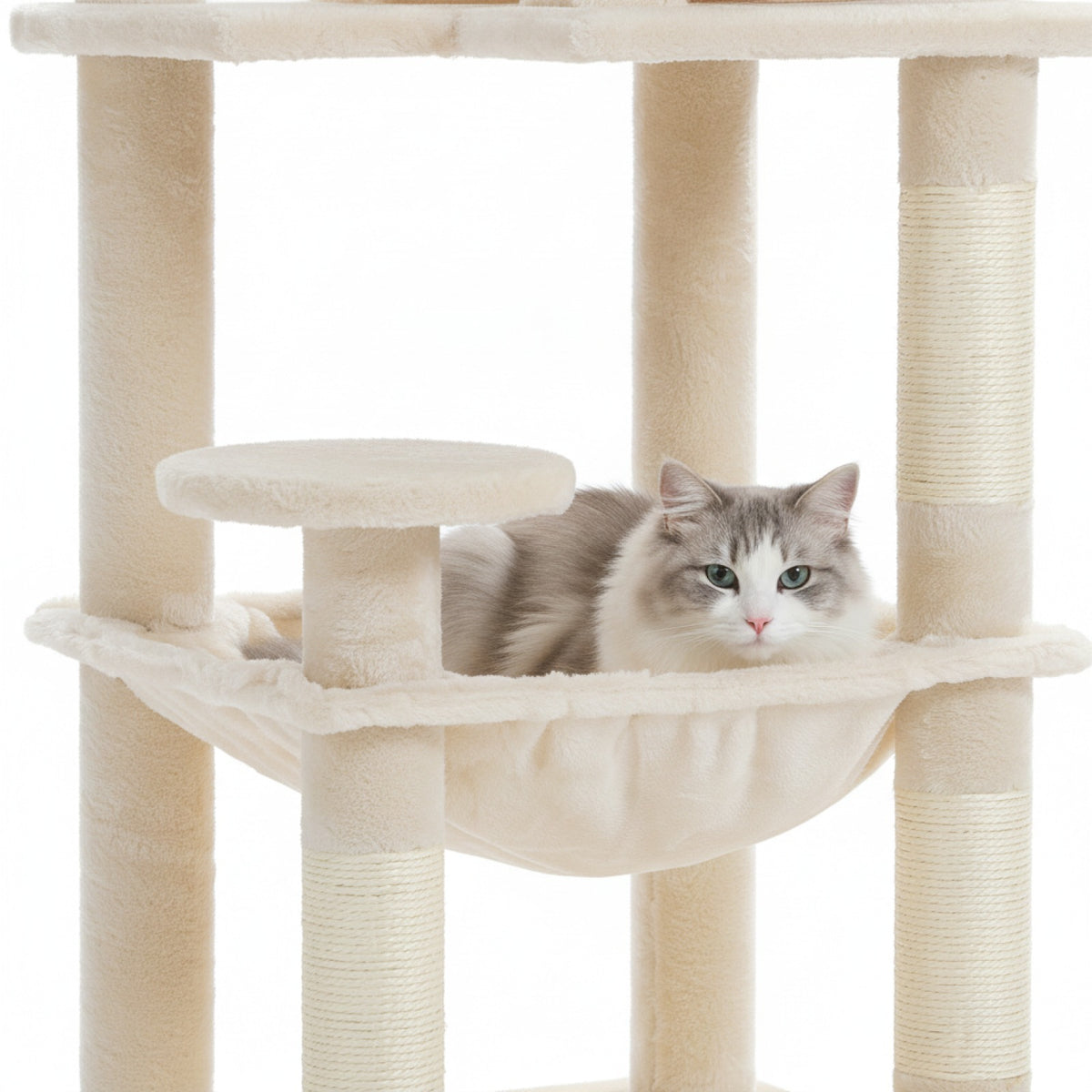 Arbre à chat XXL 5 niveaux 2
