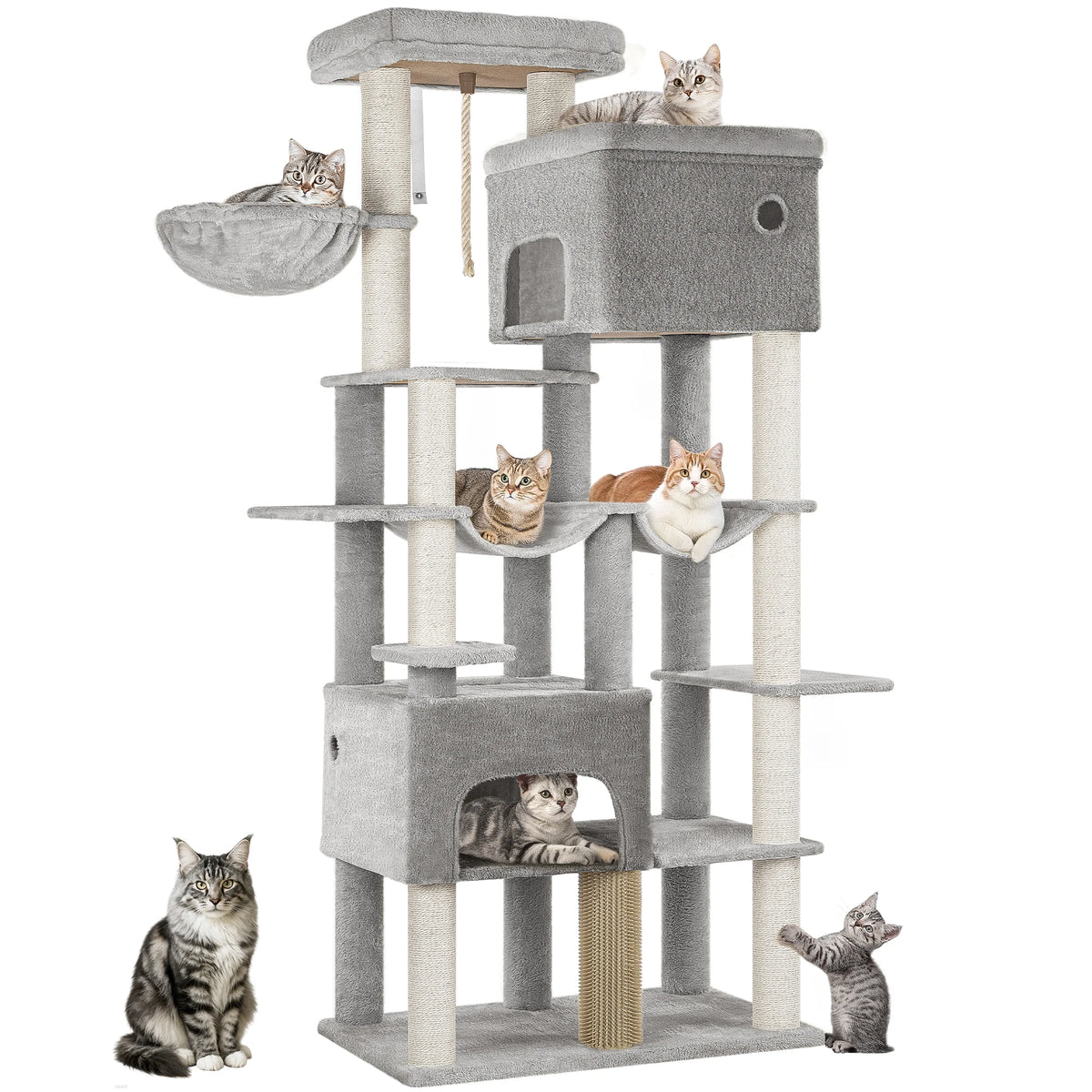 Arbre à chat XXL gris clair – pour grands chats 2