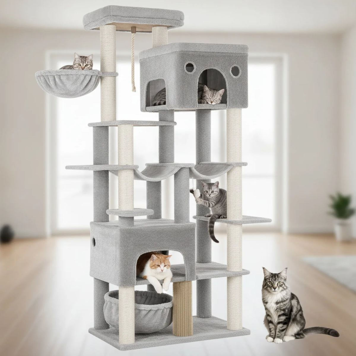 Arbre à chat XXL gris clair – pour grands chats 3