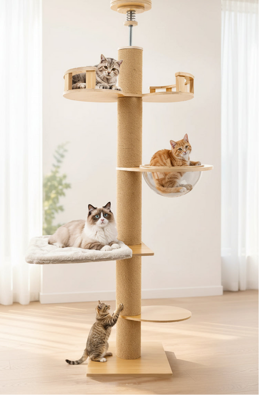 Arbre à chat en bois massif sol plafond