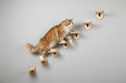 Escalier Mural Chat – Marche en Bois 2
