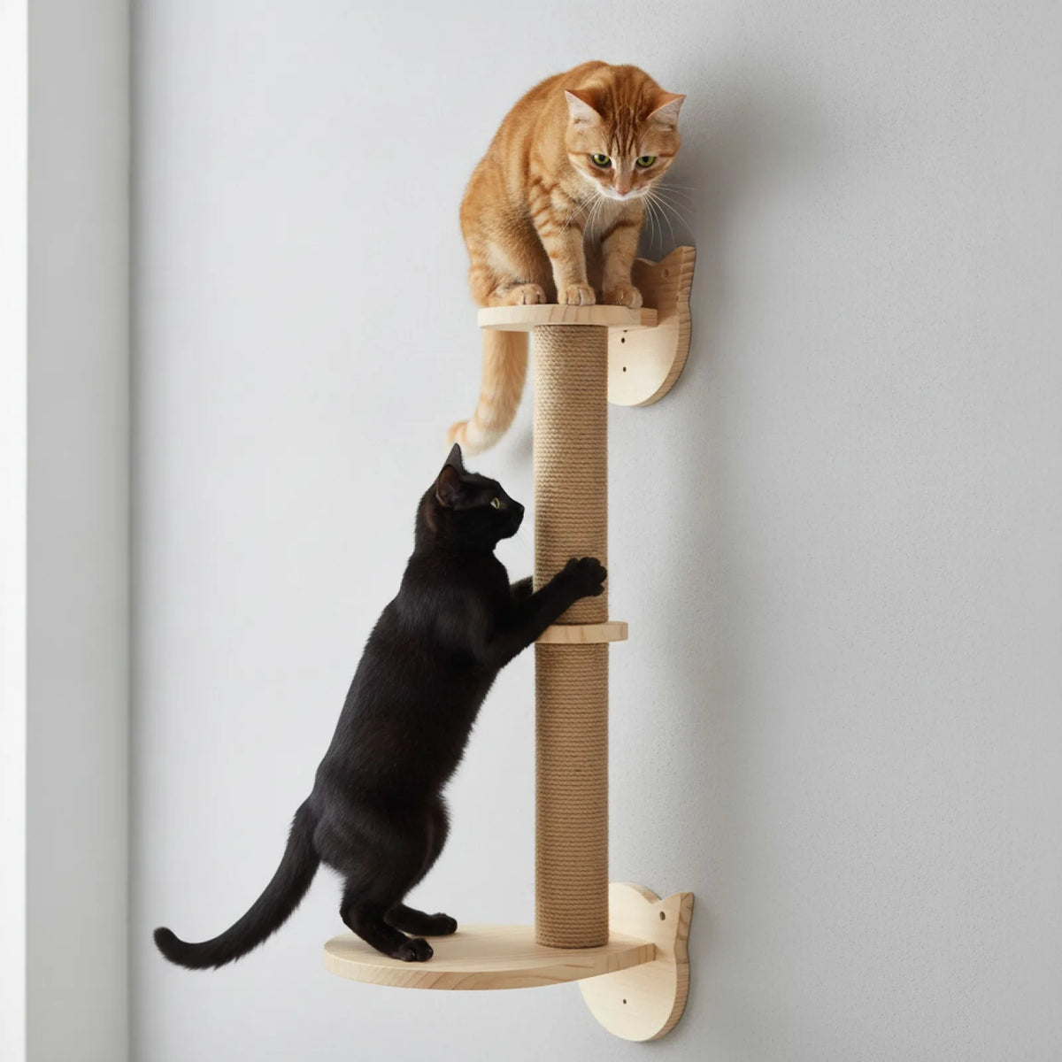 Griffoir Mural Chat Poteau Sisal