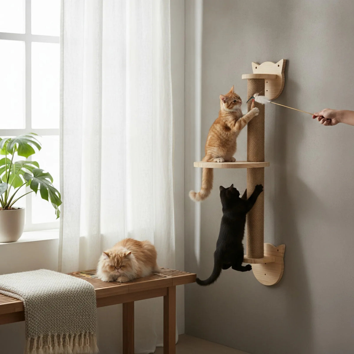 Griffoir Mural Chat Poteau Sisal 3