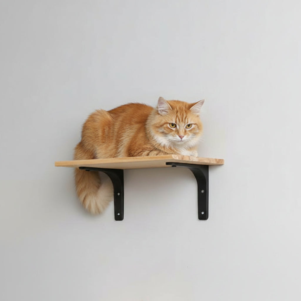 Étagère Murale Chat – Plateforme Bois 40×25 cm