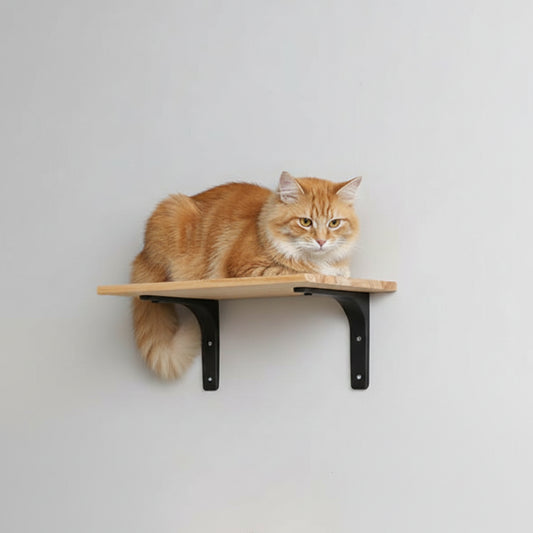 Étagère Murale Chat – Plateforme Bois 40×25 cm
